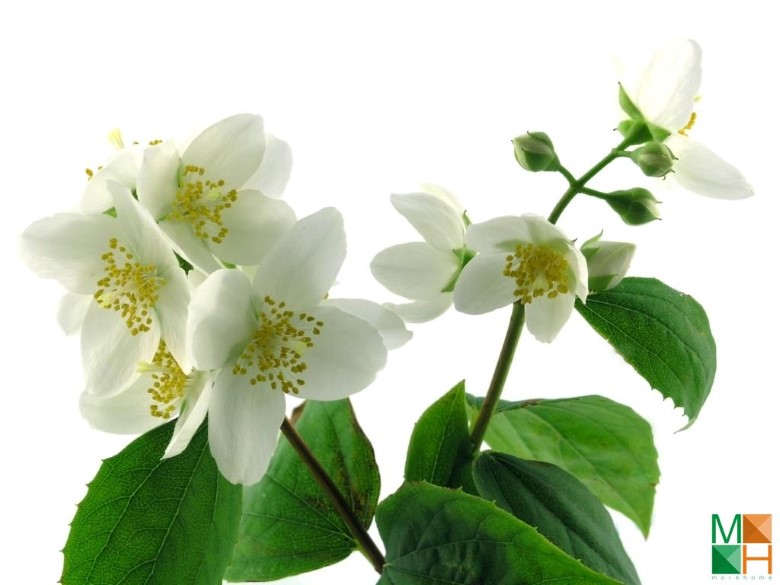 Tranh dán tường 3d đẹp cho phòng ngủ FW - 006